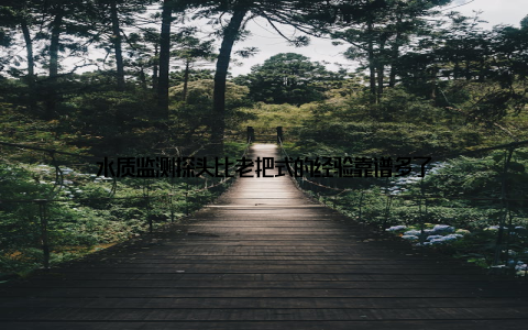 水质监测探头比老把式的经验靠谱多了