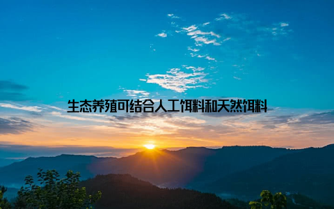 生态养殖可结合人工饵料和天然饵料