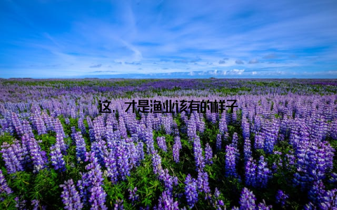 这, 才是渔业该有的样子