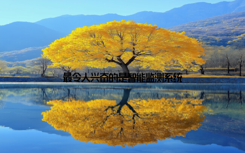 最令人兴奋的是智能监测系统
