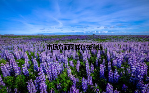 市场方面同样存在隐忧