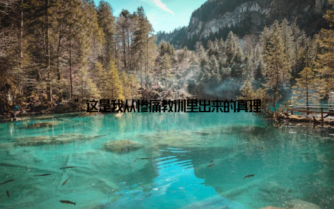 ”这是我从惨痛教训里出来的真理