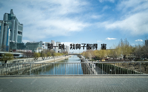 ”那一刻, 我鼻子酸得厲害