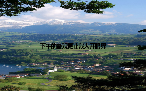 下午的参观更让我大开眼界