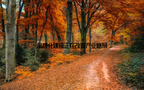 品牌化建设正在改变产业格局