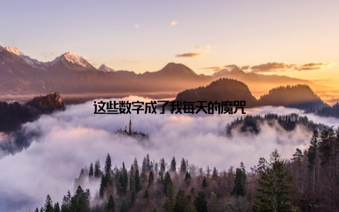这些数字成了我每天的魔咒