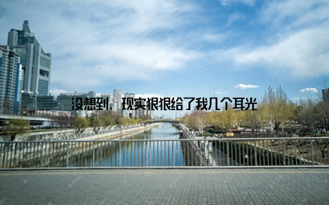 没想到, 现实狠狠给了我几个耳光