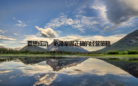 要想成功, 必须掌握正确的经营策略