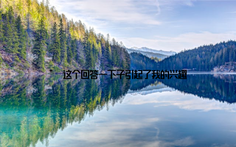 ” 这个回答一下子引起了我的兴趣
