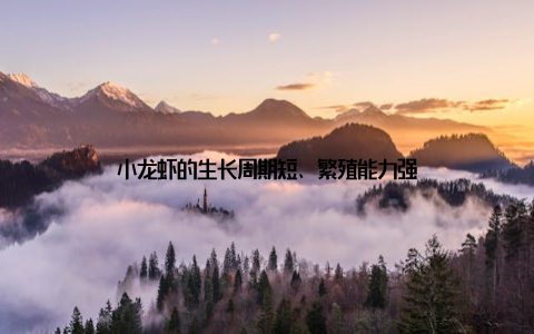 小龙虾的生长周期短、繁殖能力强