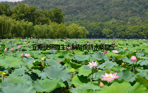 定期使用微生态制剂保持水质稳定