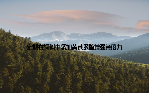 定期在饲料中添加黄芪多糖增强免疫力