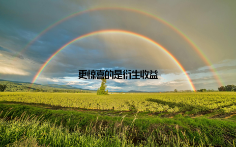更惊喜的是衍生收益