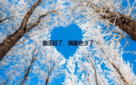 鱼活跃了, 病害也少了