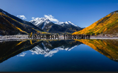 可适当布置瓦片、竹筒等遮蔽物