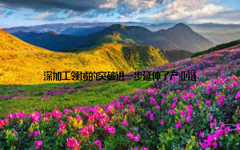 深加工领域的突破进一步延伸了产业链