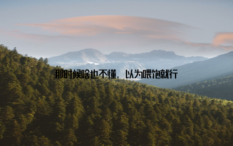 那时候啥也不懂, 以为喂饱就行