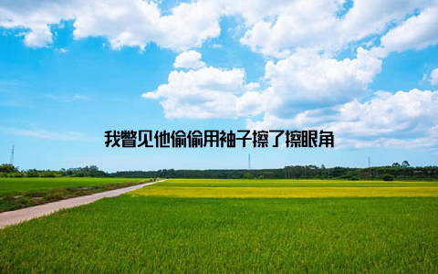我瞥见他偷偷用袖子擦了擦眼角