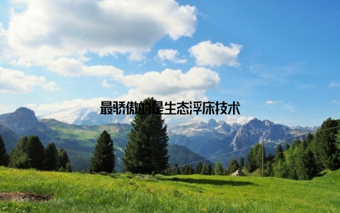 最骄傲的是生态浮床技术
