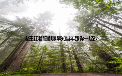 老王红着脸嘟囔早知当年跟你一起改