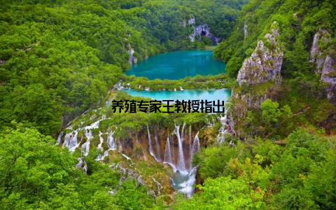 养殖专家王教授指出
