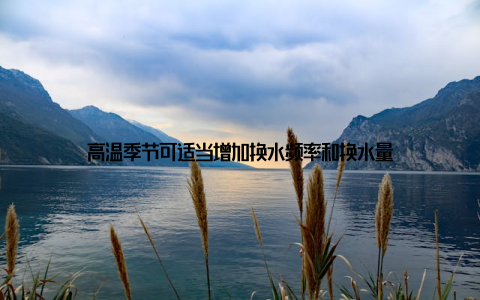 高温季节可适当增加换水频率和换水量