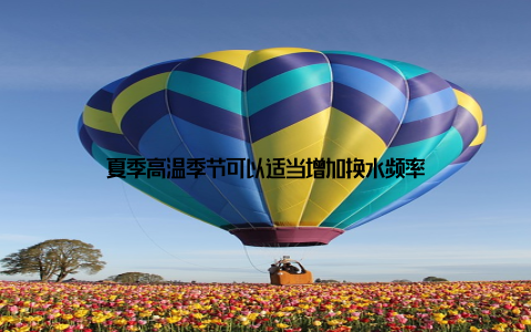 夏季高温季节可以适当增加换水频率