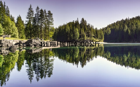 我们每月能用掉300公斤