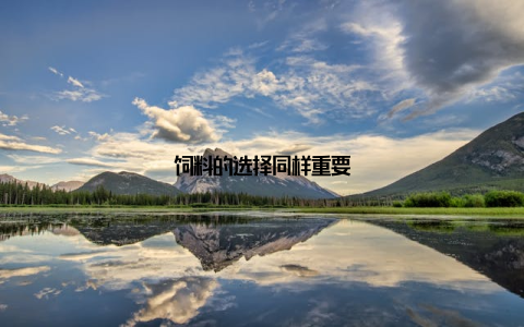 饲料的选择同样重要