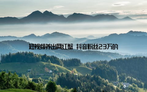 短视频养出网红蟹 抖音粉丝23万的