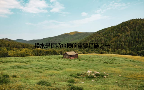 换水是保持水质的重要措施之一