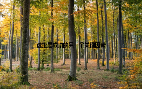 选址是成功的另一个关键因素