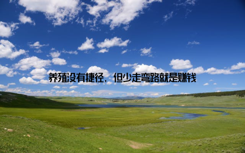 养殖没有捷径, 但少走弯路就是赚钱