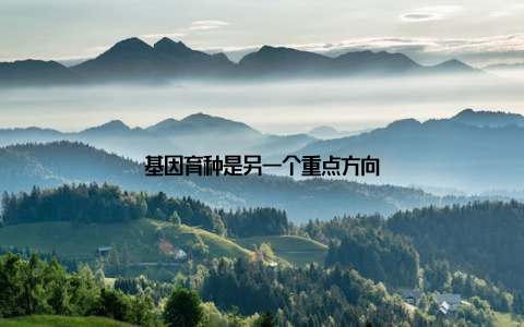 基因育种是另一个重点方向