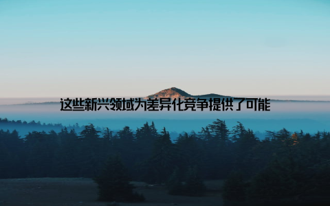 这些新兴领域为差异化竞争提供了可能