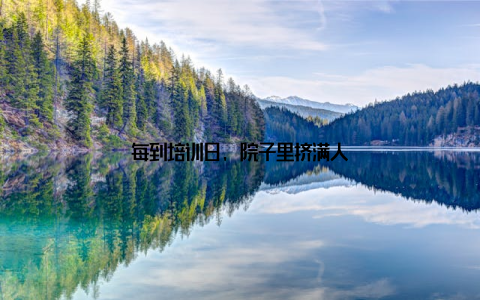 每到培训日, 院子里挤满人