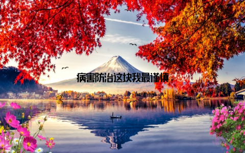病害防治这块我最谨慎