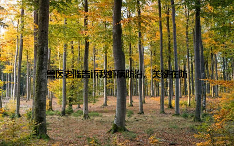 兽医老陈告诉我虾病防治, 关键在防