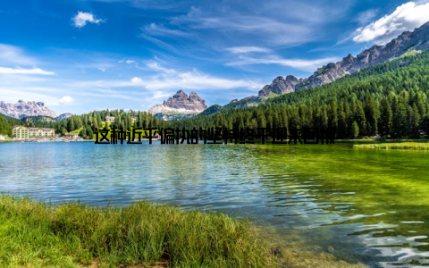 这种近乎偏执的坚持终于迎来回报