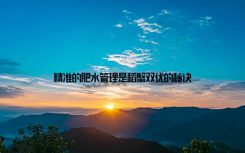 精准的肥水管理是稻蟹双优的秘诀