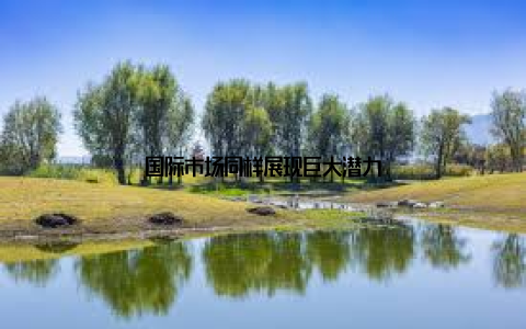 国际市场同样展现巨大潜力