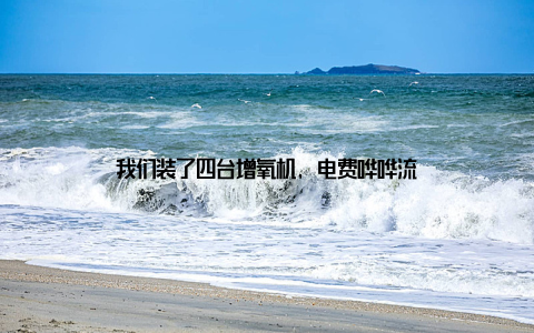 我们装了四台增氧机, 电费哗哗流
