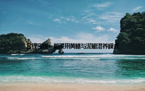 合理密度一般采用黄鳝与泥鳅混养模式