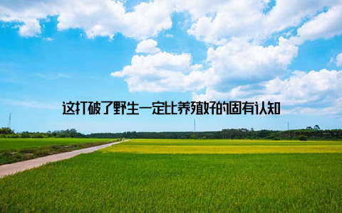 这打破了野生一定比养殖好的固有认知