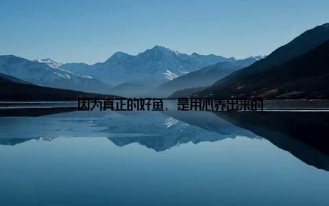 ”因为真正的好鱼, 是用心养出来的