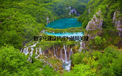 数字化建设将成为破局关键