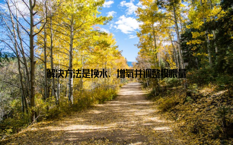 解决方法是换水、增氧并调整投喂量
