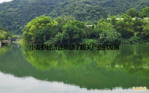 小龙虾经济还带动了相关产业的发展
