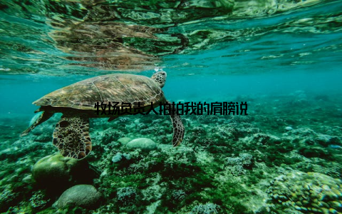 牧场负责人拍拍我的肩膀说
