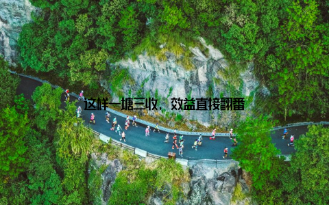 这样一塘三收, 效益直接翻番